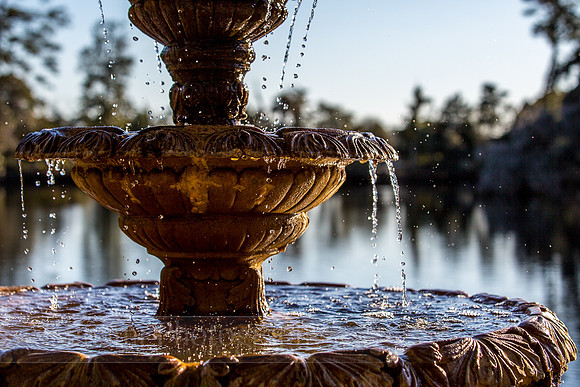 LK_20150131_0299-sm