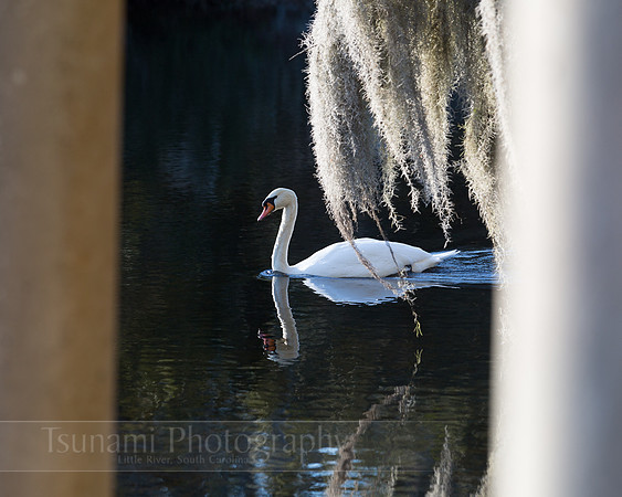 LK_20150131_0315-sm