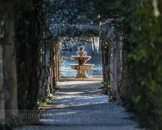 LK_20150131_0406-sm