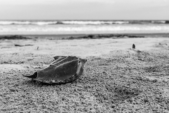 LK_20150502_1282-sm