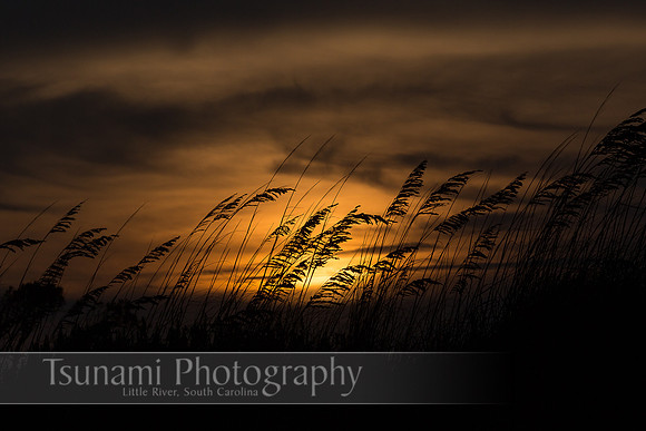 LK_20140727_0044