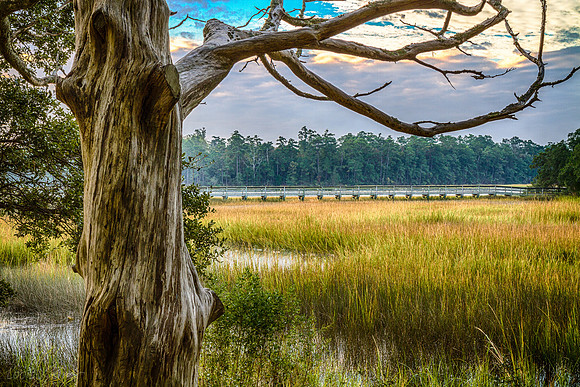 LK_20131018_0036_HDR