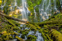 Oregon Waterfalls and Coast