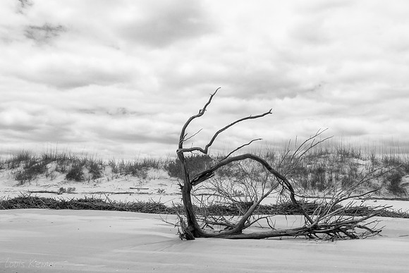 LK_20120520_0118