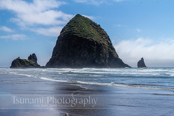 LK_20130709_0190-zen