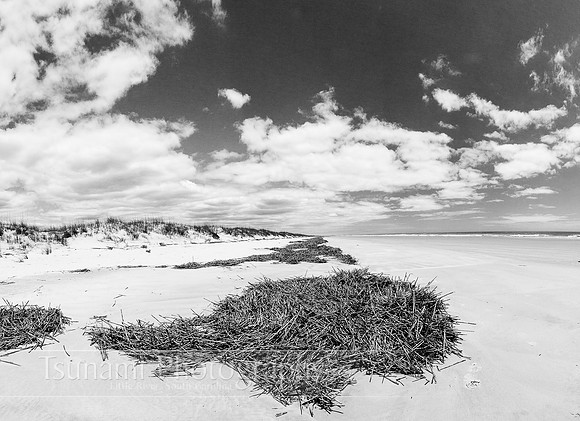 LK_20120520_0051-Edit