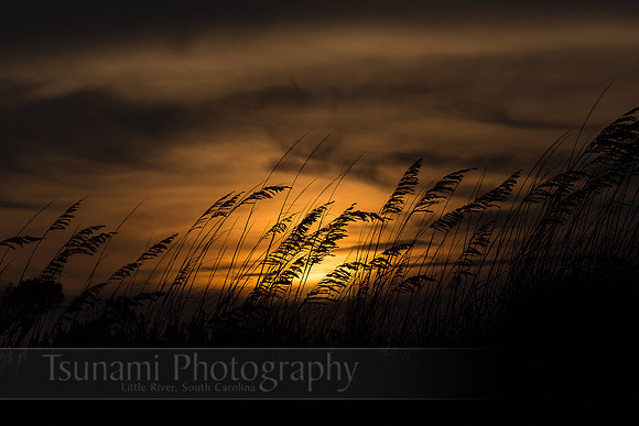 LK_20140727_0044