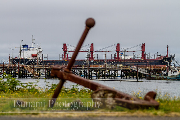 LK_20130709_0037-zen