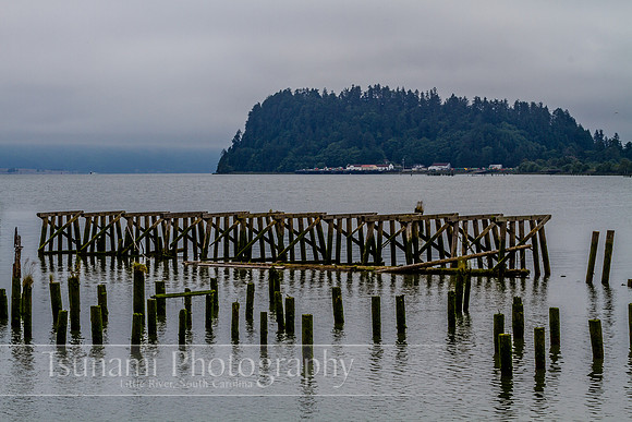 LK_20130709_0040-zen