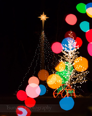 LK_20131231_0027-sm