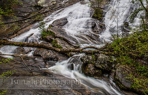 At Twin Falls (Reedy Cove Falls), near Lake Jocassee in South Carolina.
LK_20140419_0295