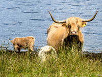 LE_20120714_0313