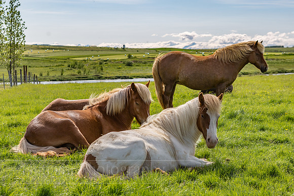 LK_20150709_0012