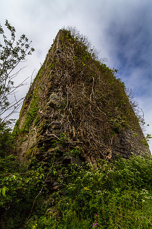 LK_20120716_1481
