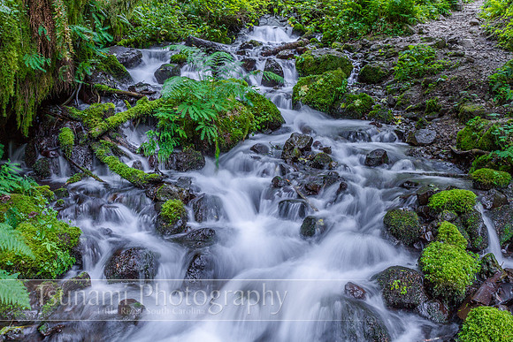 LK_20130710_0132-zen