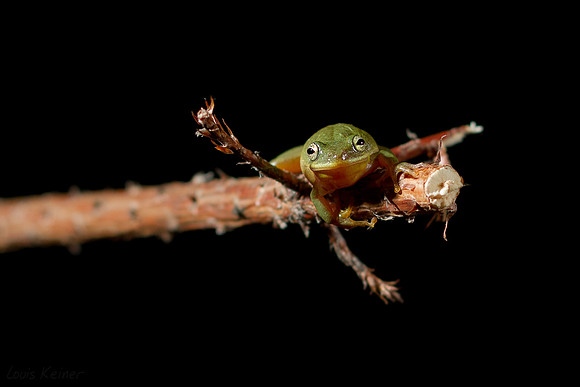 LK-LE_20110926_0115