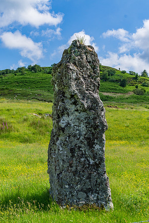 LK_20150703_0044