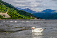 LK_20120714_1083-edit