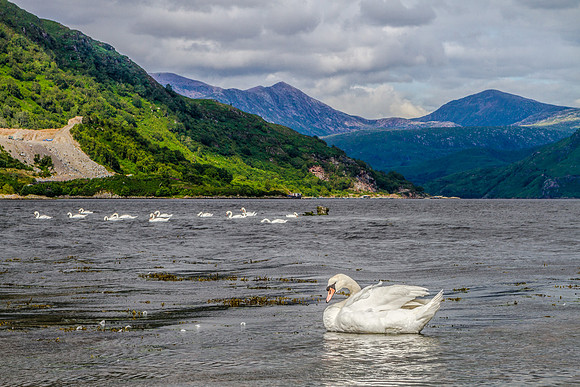 LK_20120714_1083-edit
